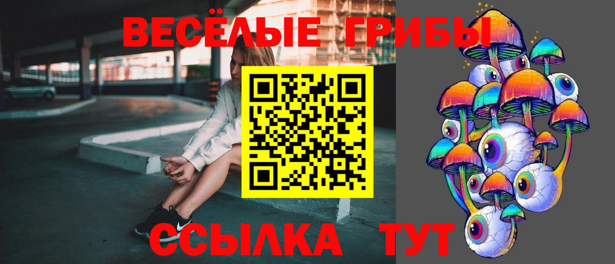 Псилоцибиновые грибы Psilocybine cubensis Глазов